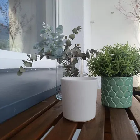 Apartament Jawornicka 7 / Grunwald * Poznan